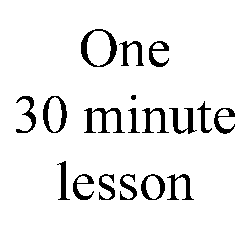 ONE 30 minute lesson